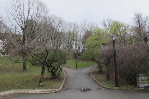 Walking trails in Silver Lake Staten Island