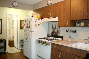 48 Fieldway apartment kitchen