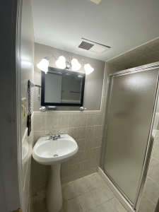 180 Auburn basement bathroom view 2