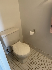 21 Carol Pl commode in half bath on first level