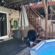 21 Carol Place SGD to yard with pool